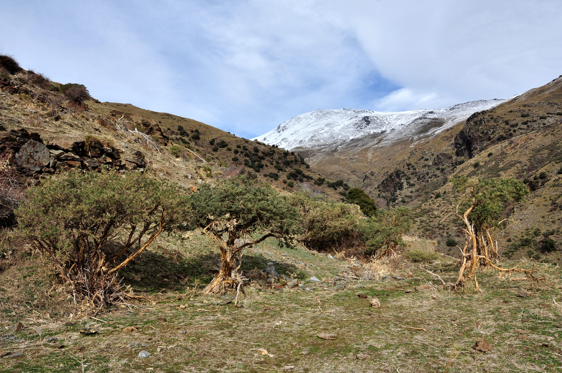 Pampaneira